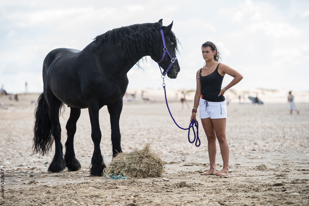 Cheval Bavard 20131006-1522