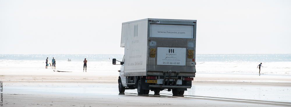 Cheval Bavard 20131006-1556