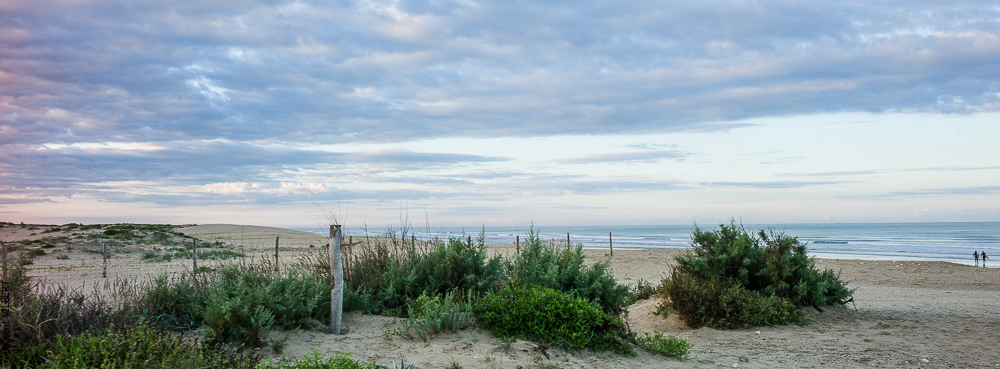 Cheval Bavard 20131007-1649