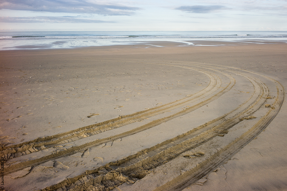 Cheval Bavard 20131007-1840