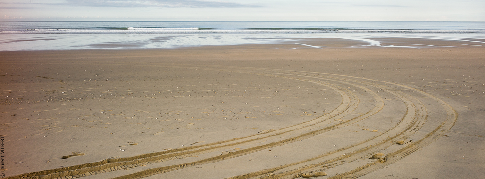 Cheval Bavard 20131007-1843