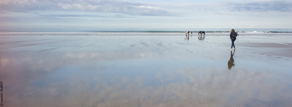 Cheval Bavard 20131007-1894