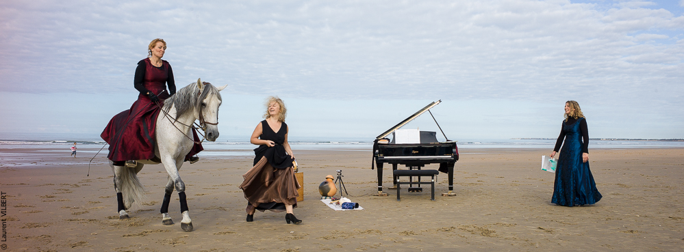 Cheval Bavard 20131007-2035