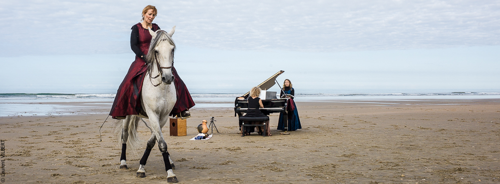 Cheval Bavard 20131007-2056