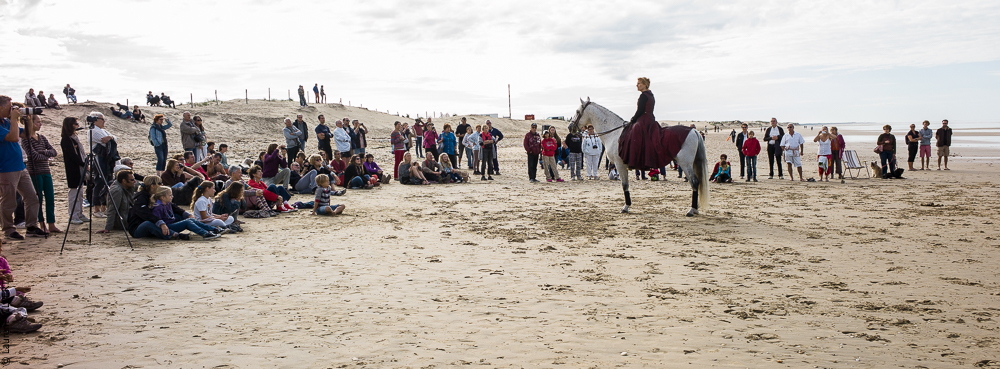 Cheval Bavard 20131007-2071