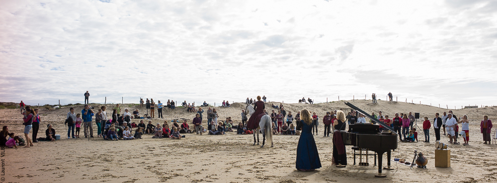 Cheval Bavard 20131007-2076