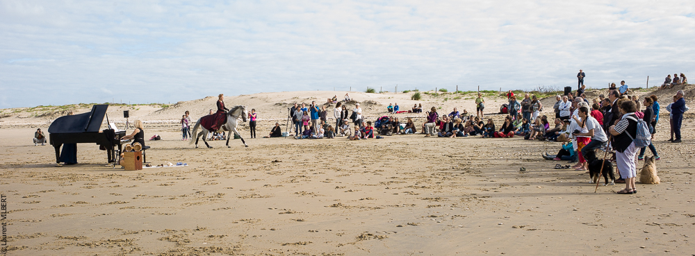 Cheval Bavard 20131007-2084