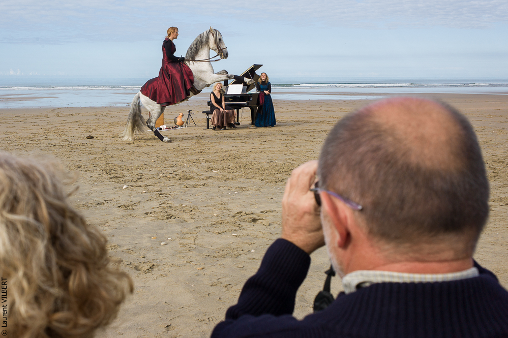 Cheval Bavard 20131007-2092