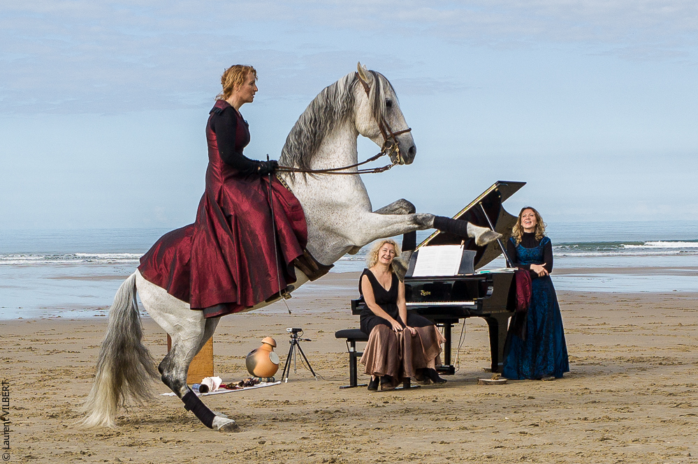 Cheval Bavard 20131007-2092