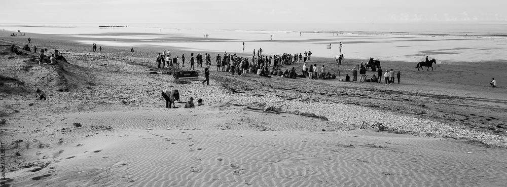 Cheval Bavard 20131007-2110