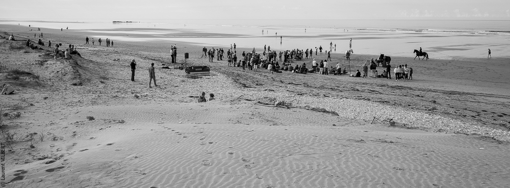 Cheval Bavard 20131007-2118