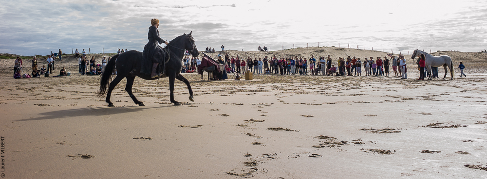 Cheval Bavard 20131007-2143