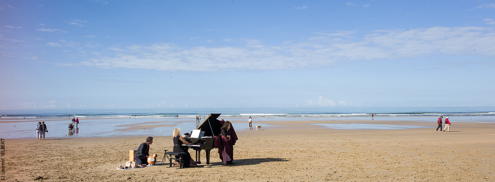 Cheval Bavard 20131007-2155
