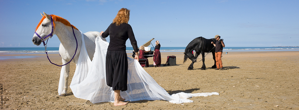 Cheval Bavard 20131007-2173