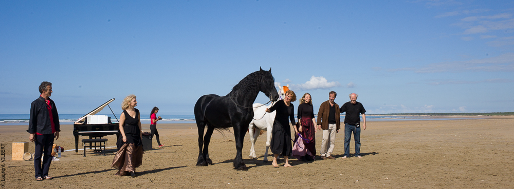 Cheval Bavard 20131007-2181