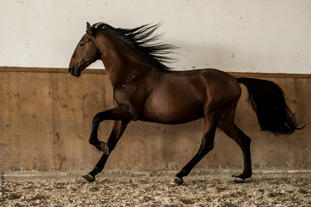 Gari Zoher20190121-001