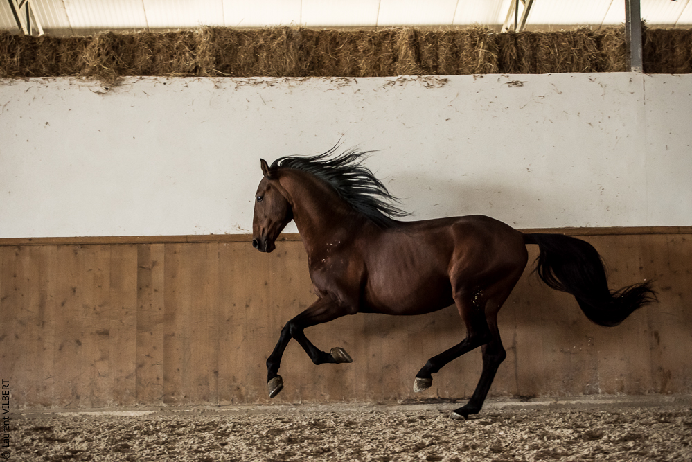 Gari Zoher20190121-002