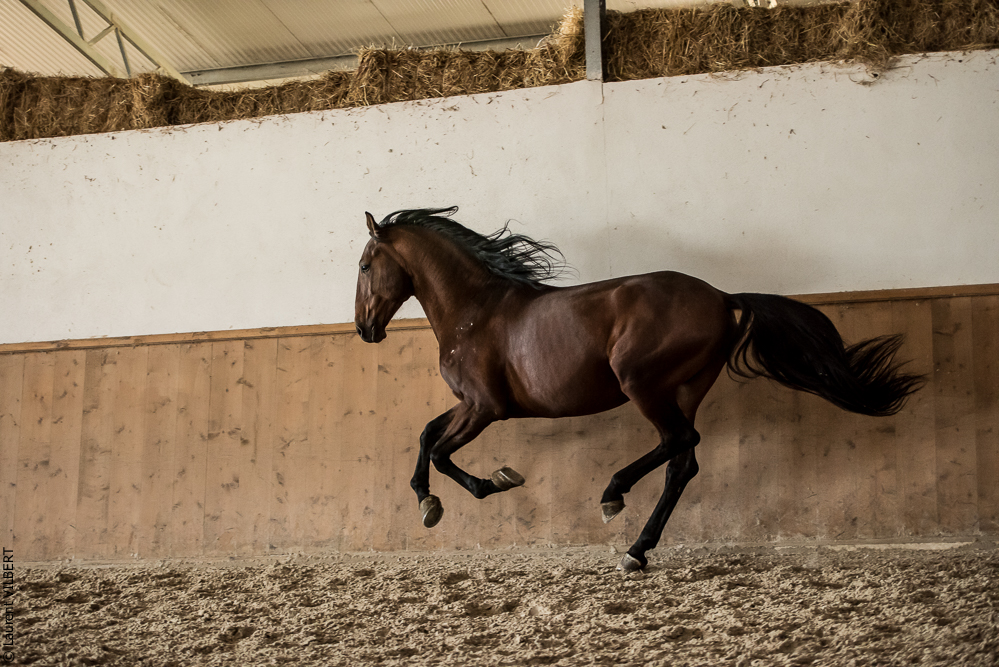 Gari Zoher20190121-003