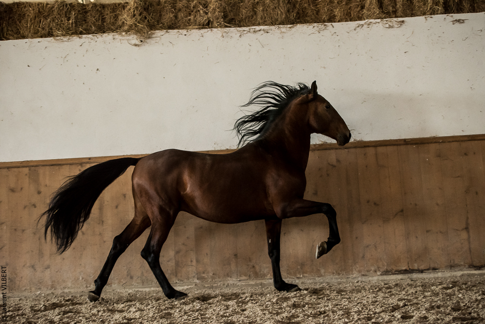 Gari Zoher20190121-012