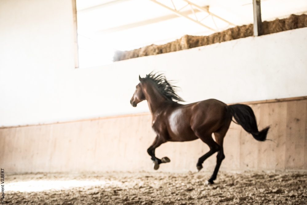 Gari Zoher20190121-035