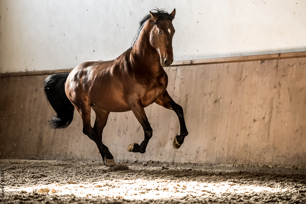 Gari Zoher20190121-094