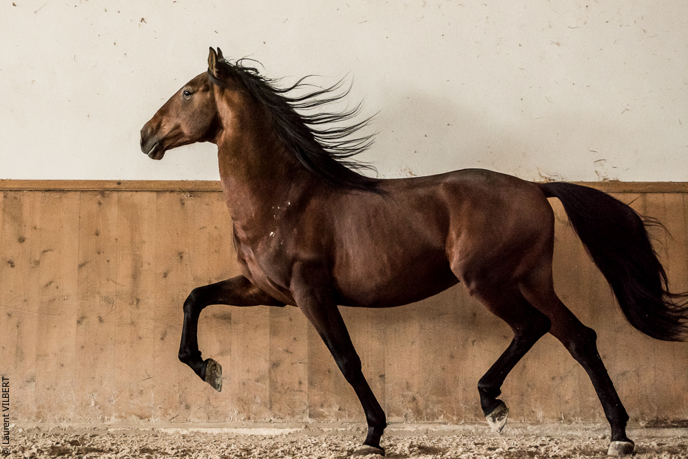 Gari Zoher20190121-102