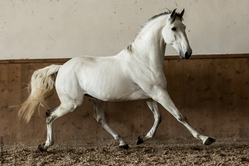 Gari Zoher20190121-132