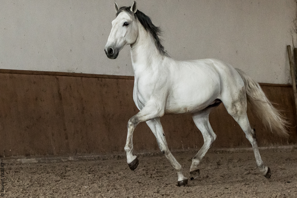 Gari Zoher20190121-134