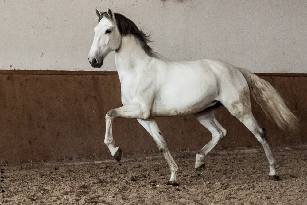 Gari Zoher20190121-135