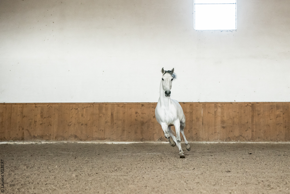 Gari Zoher20190121-152