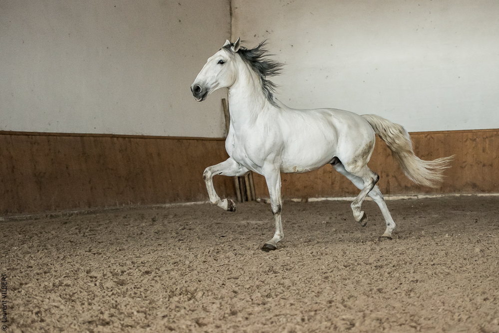 Gari Zoher20190121-155