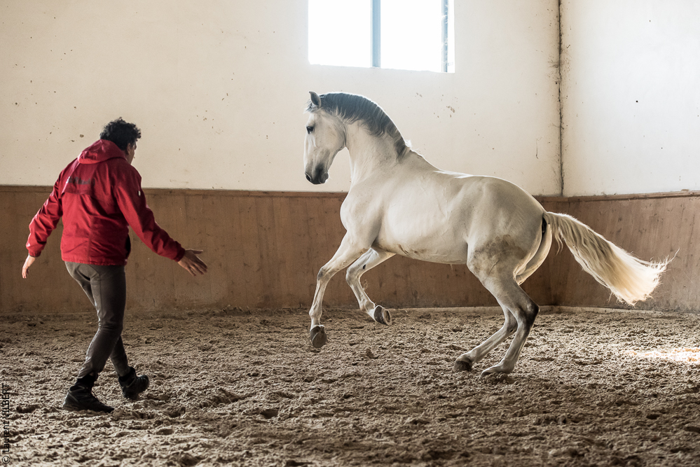 Gari Zoher20190121-174