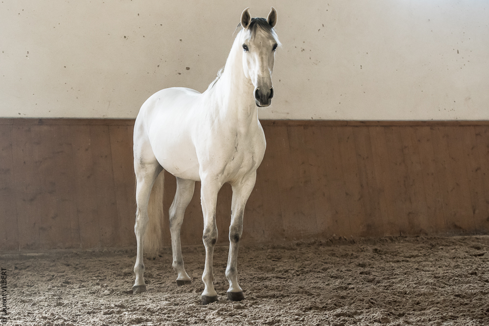 Gari Zoher20190121-191