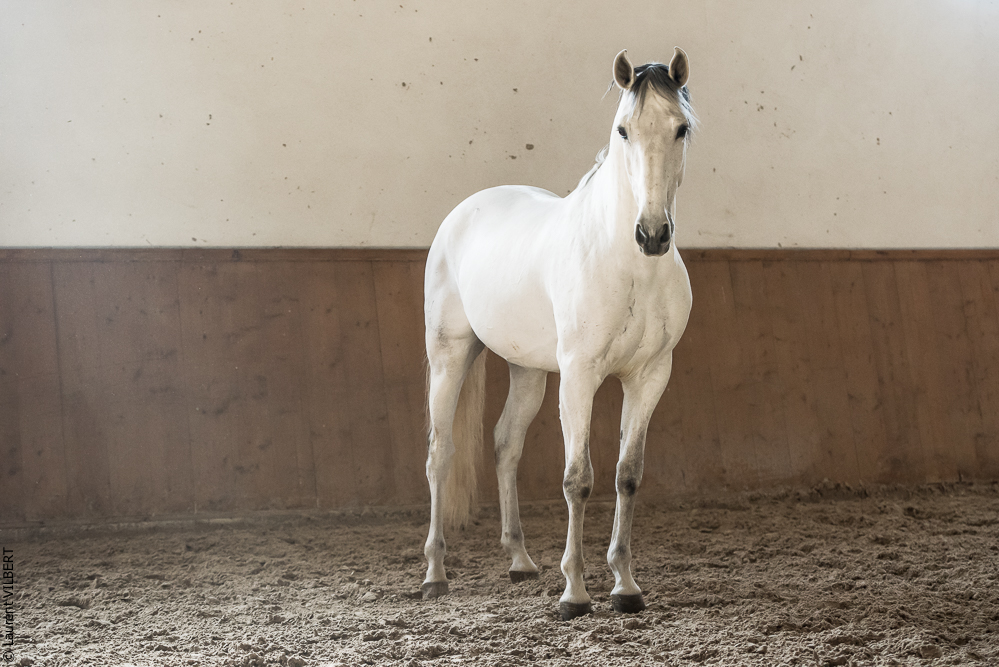 Gari Zoher20190121-193