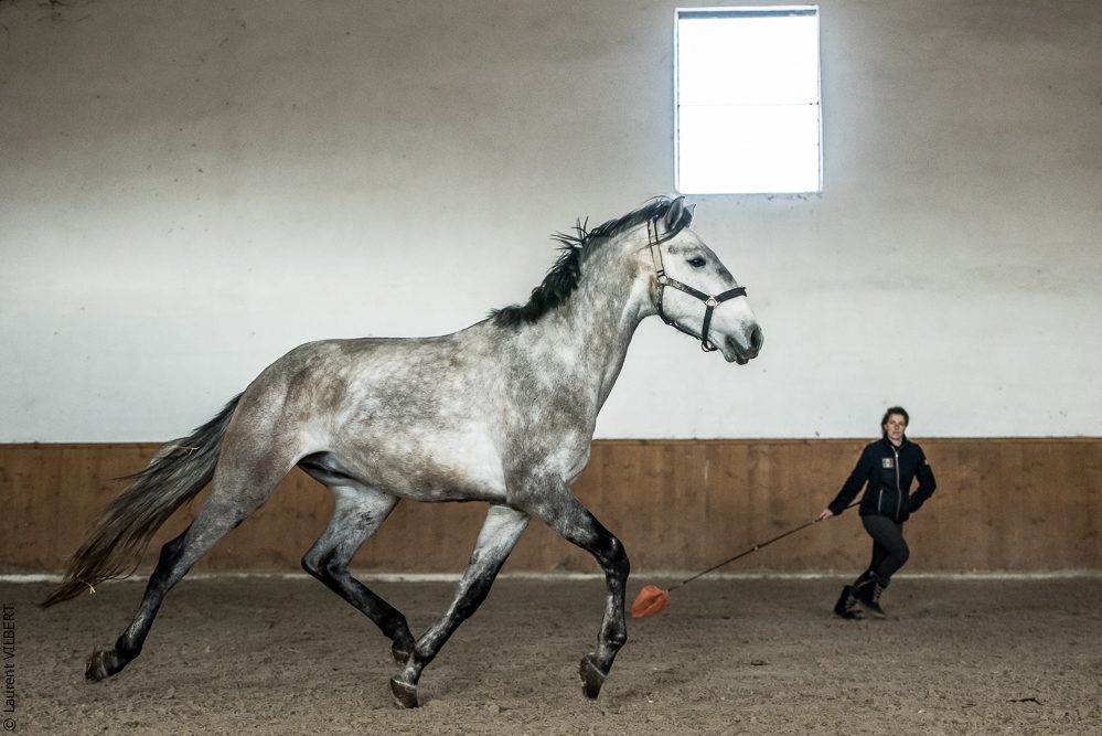 Gari Zoher20190121-208