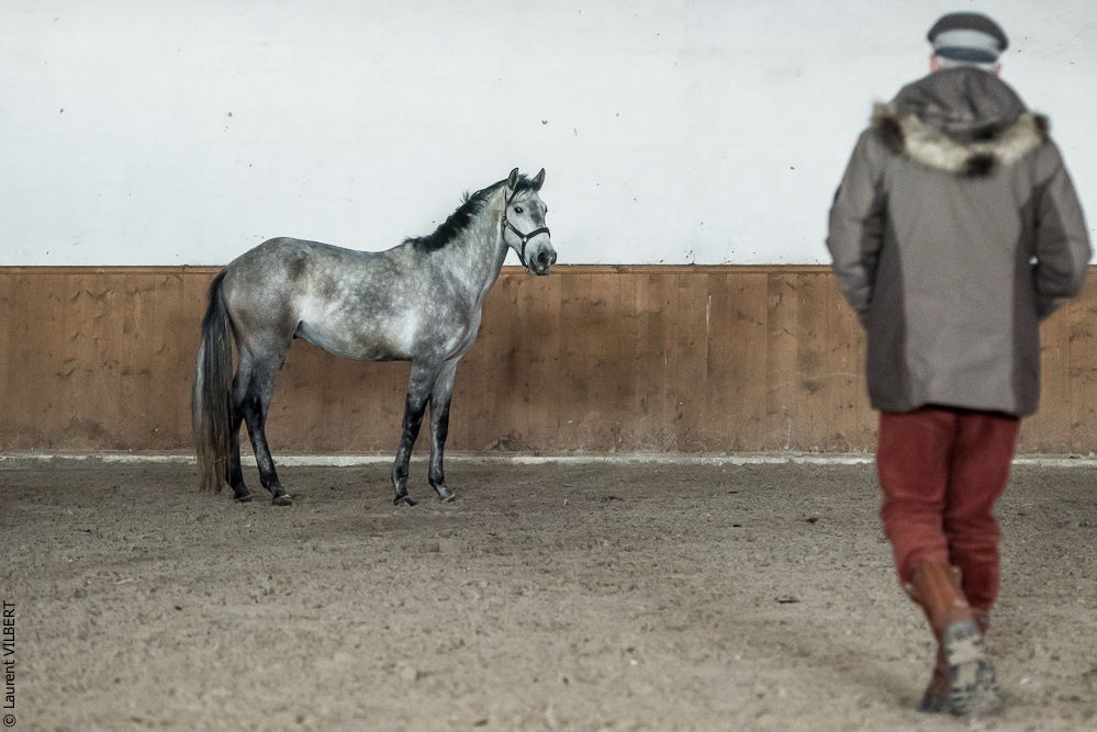 Gari Zoher20190121-251