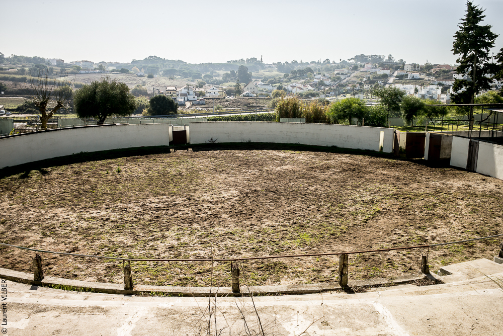 Humberto 20181114-006