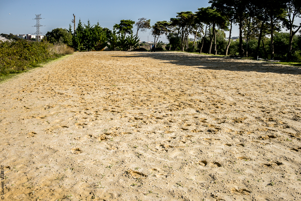 Humberto 20181114-013