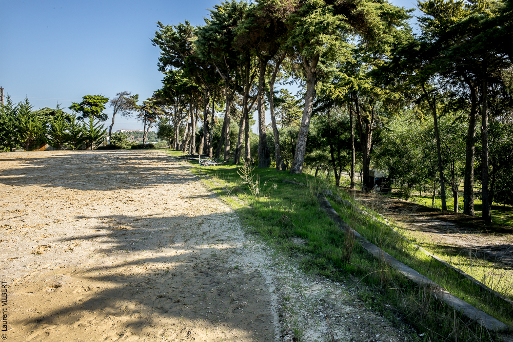 Humberto 20181114-021