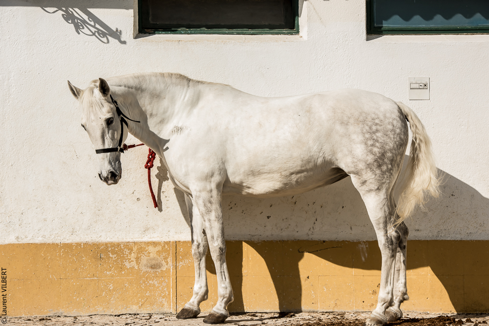 Humberto 20181114-043