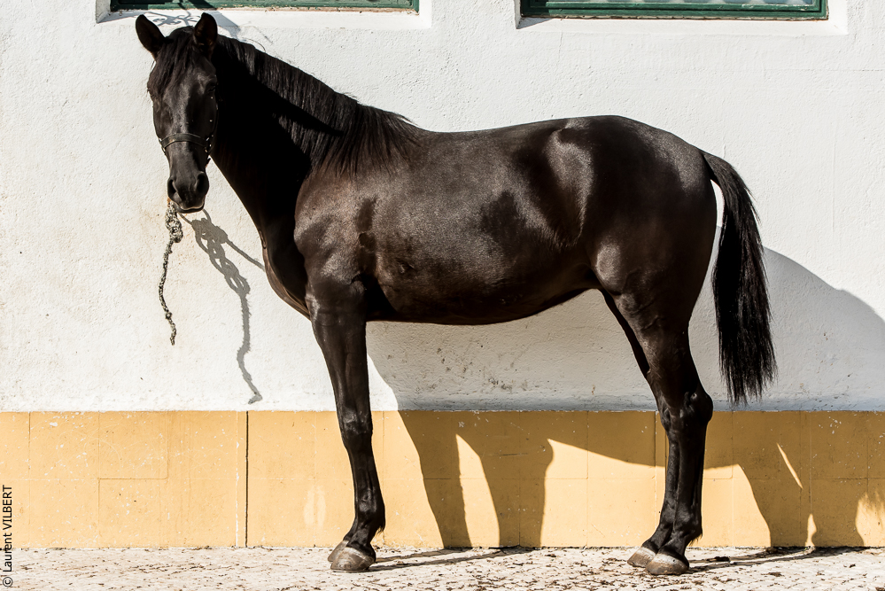 Humberto 20181114-047