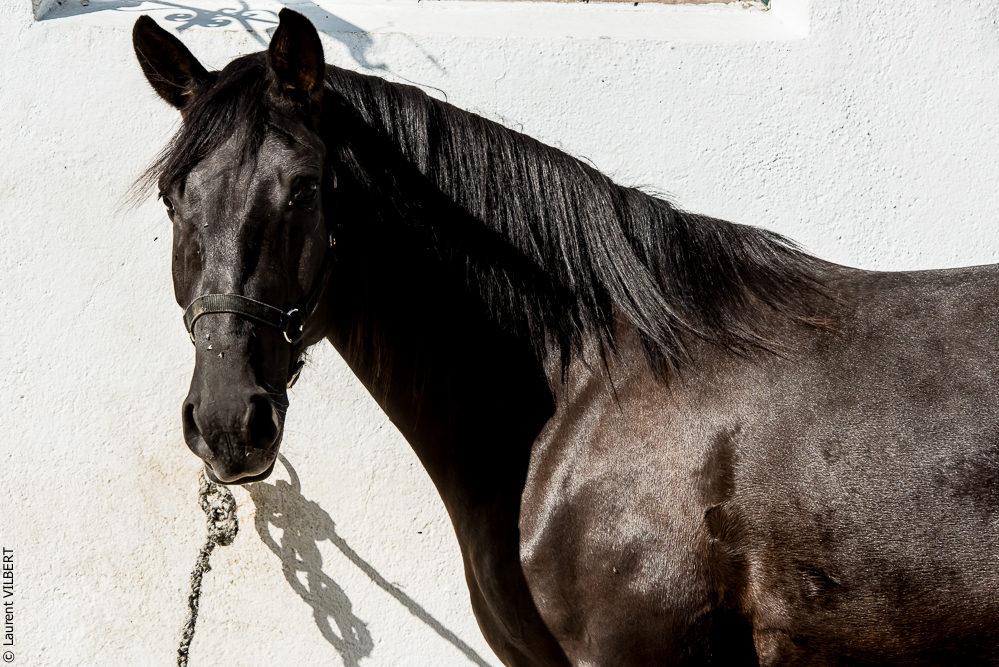 Humberto 20181114-052