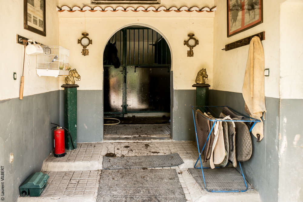 Humberto 20181114-061