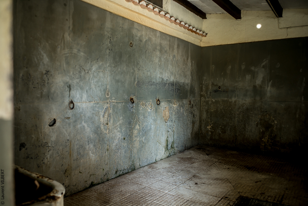 Humberto 20181114-069