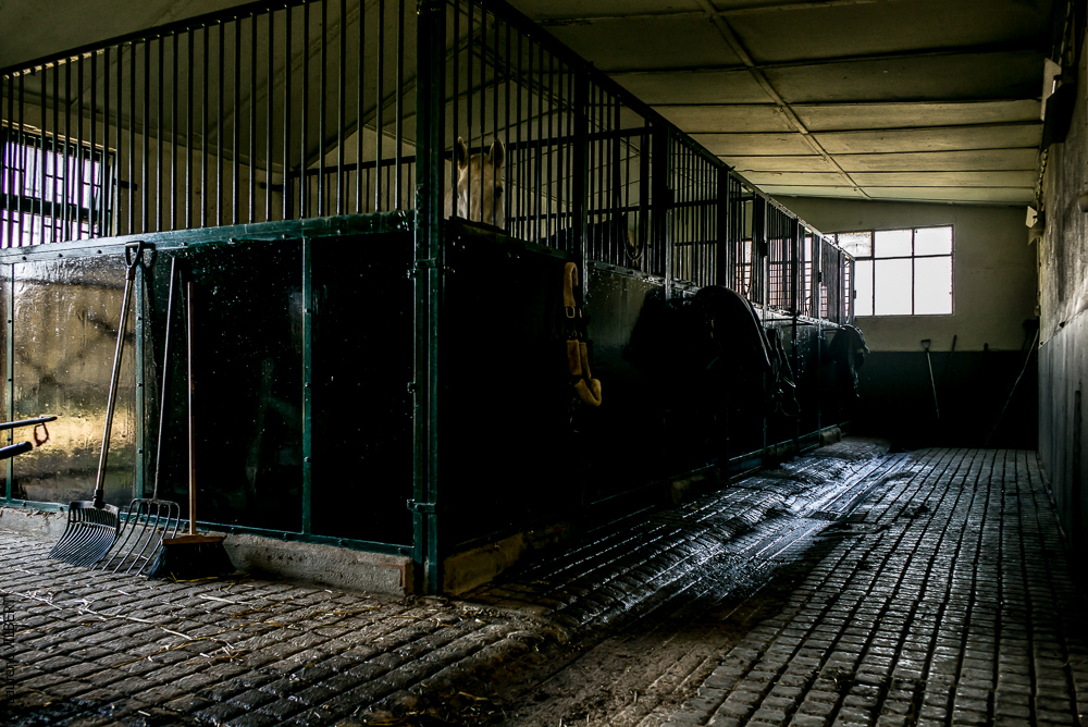 Humberto 20181114-092