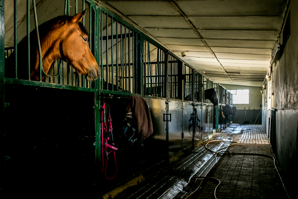 Humberto 20181114-117