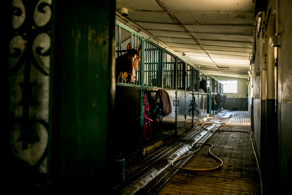 Humberto 20181114-119