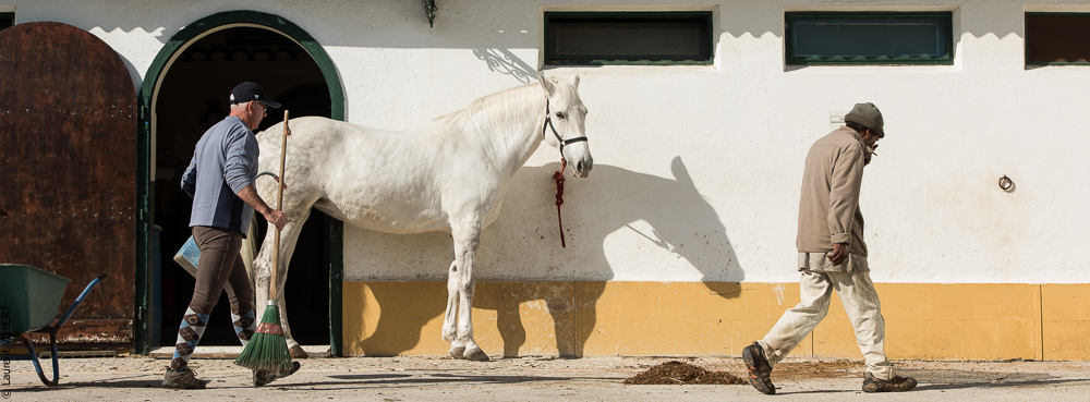 Humberto 20181114-179