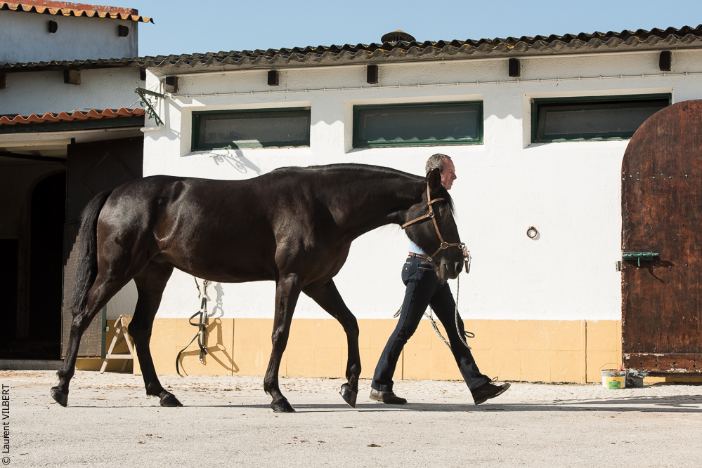 Humberto 20181114-201