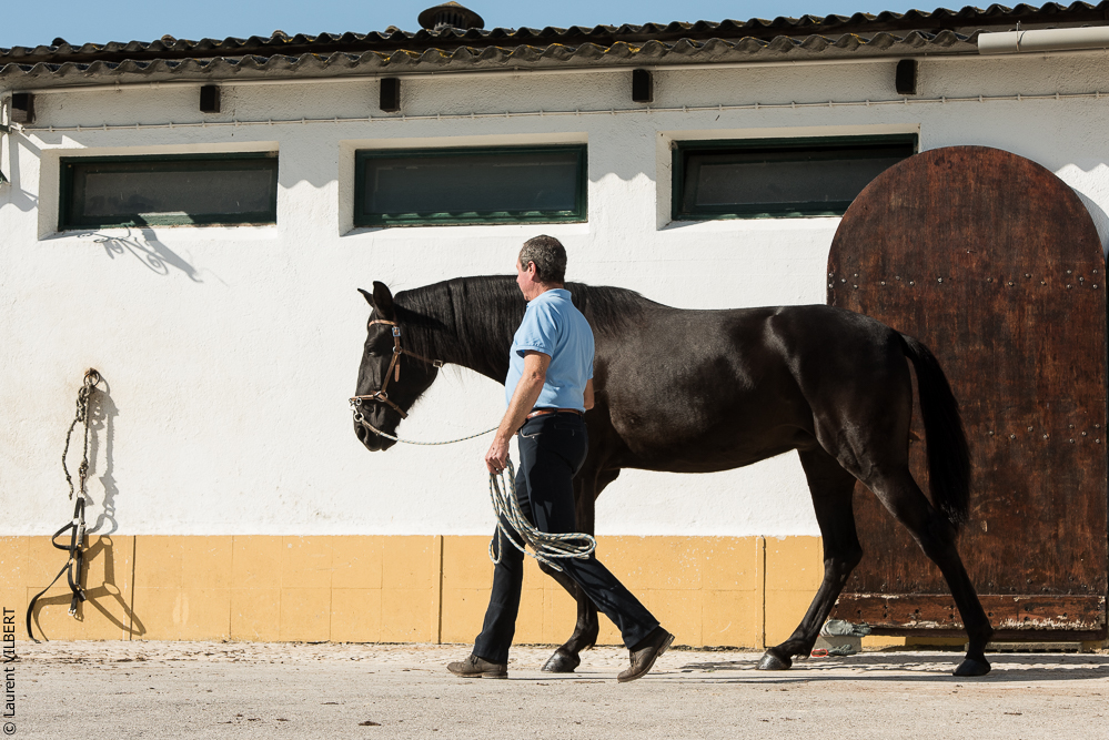 Humberto 20181114-218